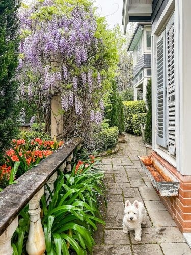 Eclectic, Wahroonga 166