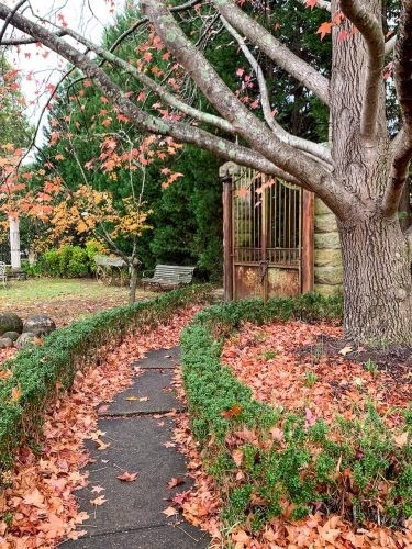 Eclectic, Wahroonga 79