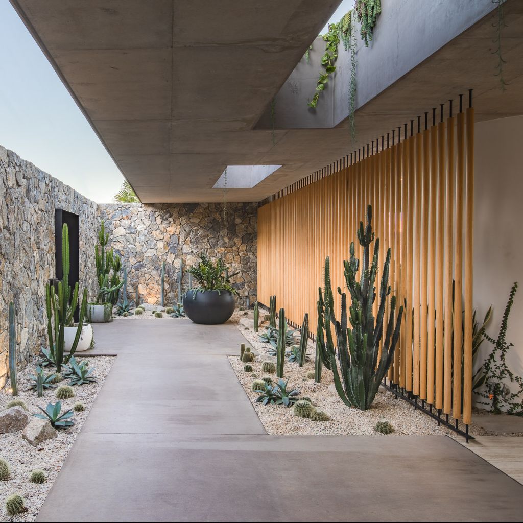 An outdoor area with a concrete roof, rock wall and cacti garden in a modern industrial location house in Brisbane