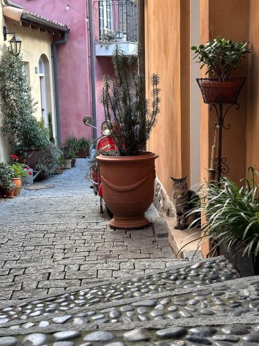 Little Tuscany, Arcadia_ 62