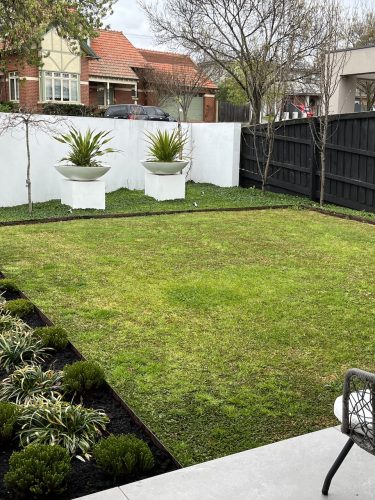 backyard