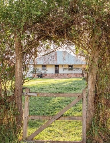 garden established