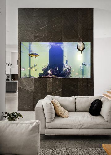 Nemo, Kellyville_26