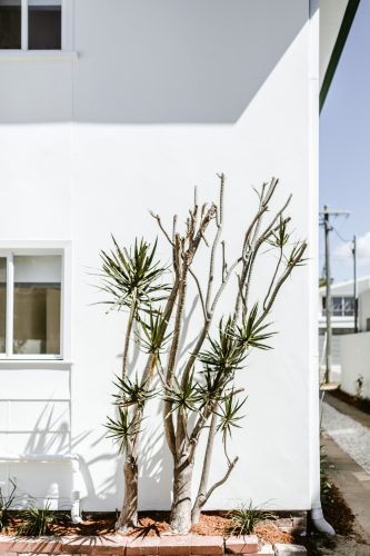 Checkers Cottage Front Facade -6