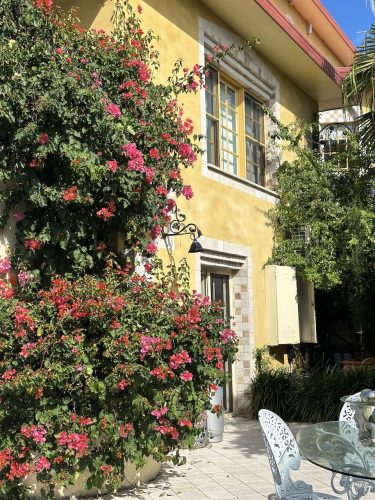 PALAZZO SOPHIE 511