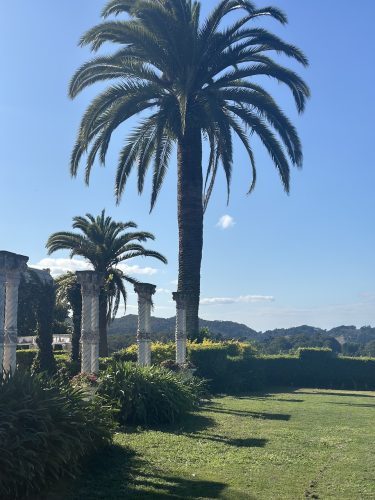 PALAZZO SOPHIE 615