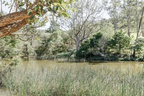Modello, Upper Kangaroo River 035