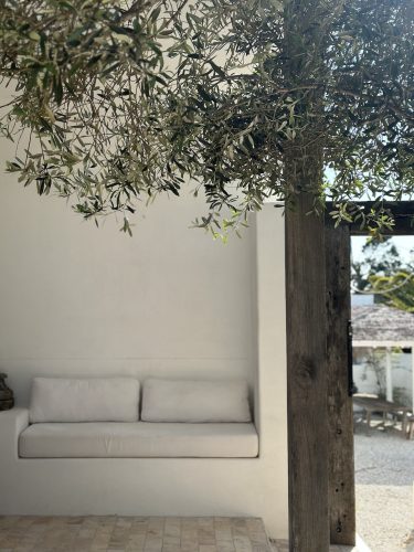 CYPRUS HOUSE, Byron Hinterland449