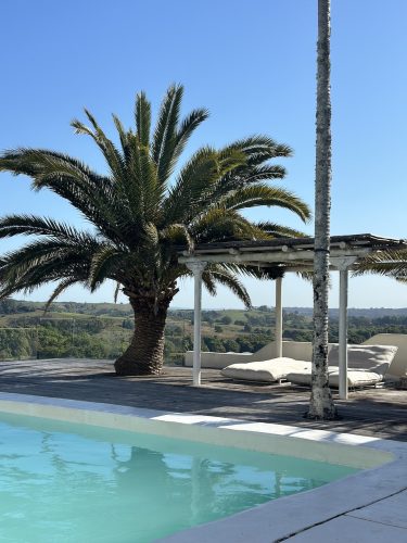 CYPRUS HOUSE, Byron Hinterland466