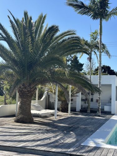 CYPRUS HOUSE, Byron Hinterland480