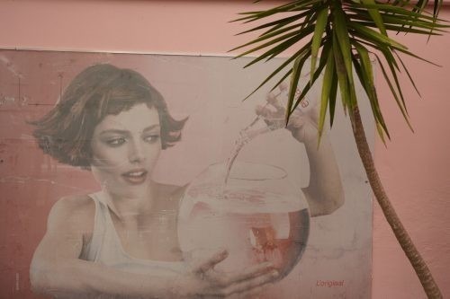 DSC00895