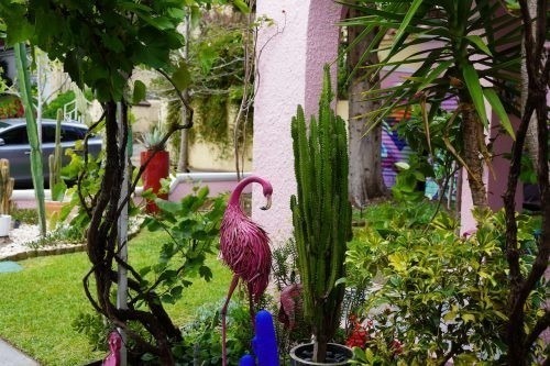 DSC00905