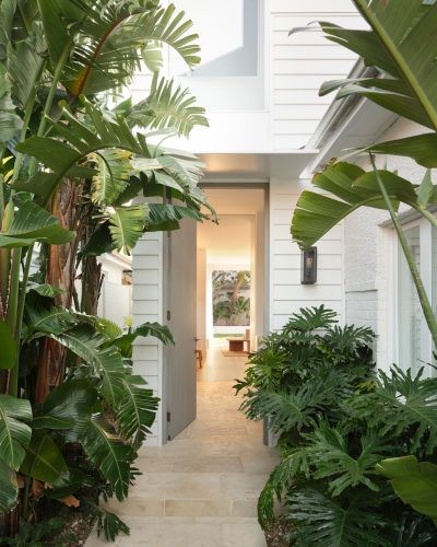 Acler, Coogee6