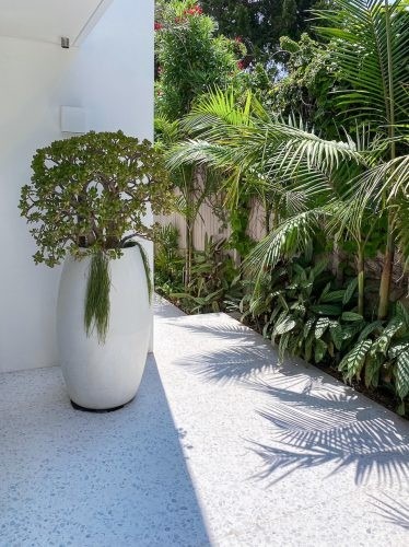 Palms House 45