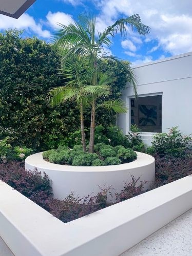 Palms House 49