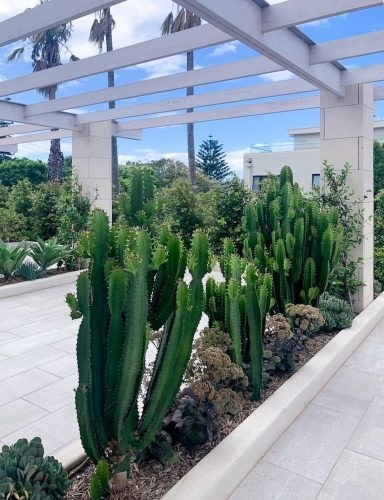 Palms House 50