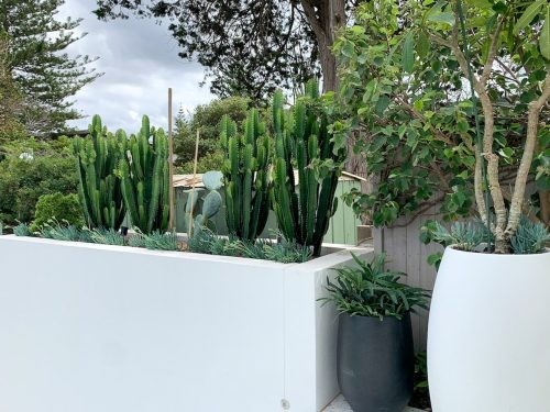 Palms House 58