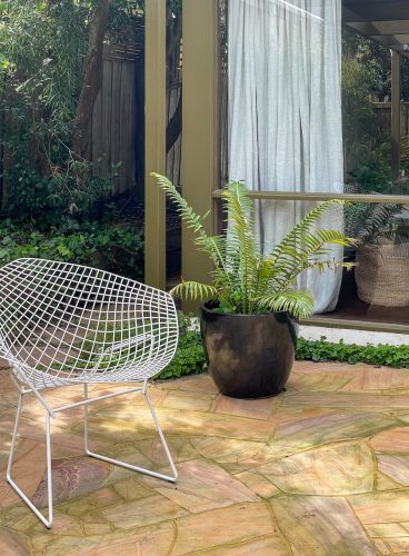 backyard pool garden established outdoor area