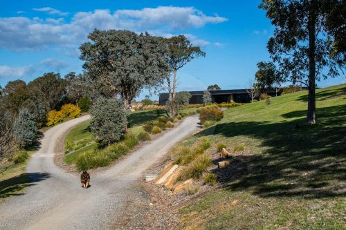Yarraman, Park Orchard-01