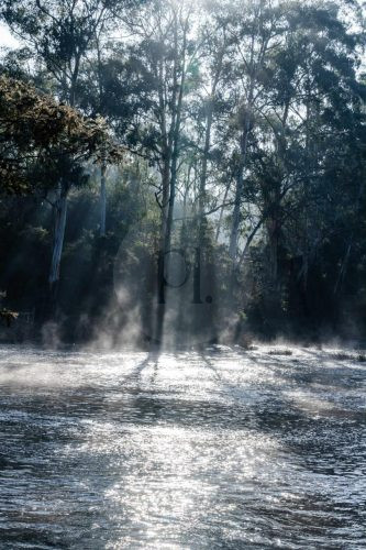 Yarraman, Park Orchard-18