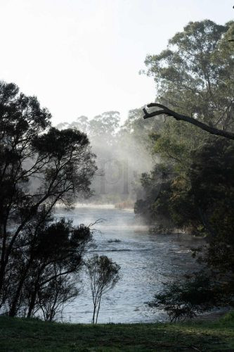 Yarraman, Park Orchard-19