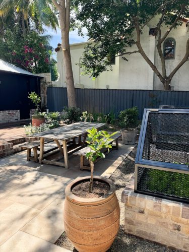 garden established