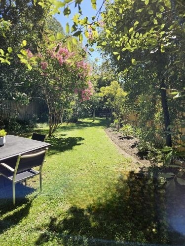 garden established outdoor area