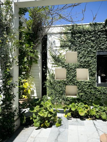 The Albert, Prahran 38