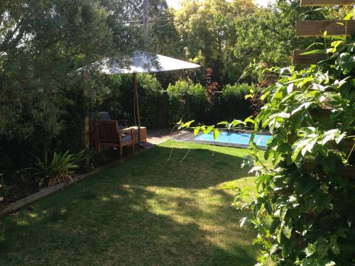 backyard