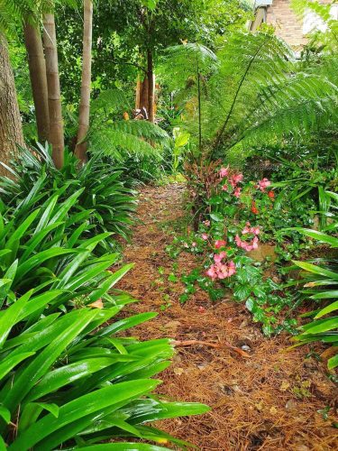 garden established