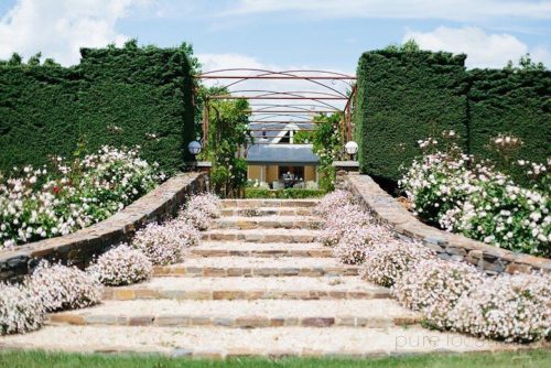 garden established