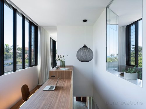 Desert Palm, Bondi
