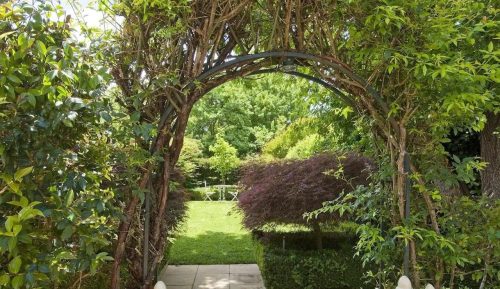garden established