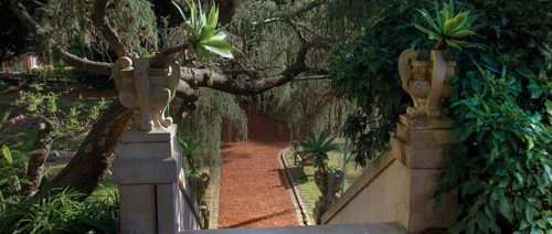 garden established