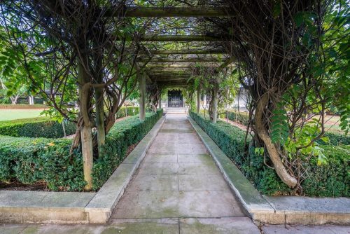 garden established