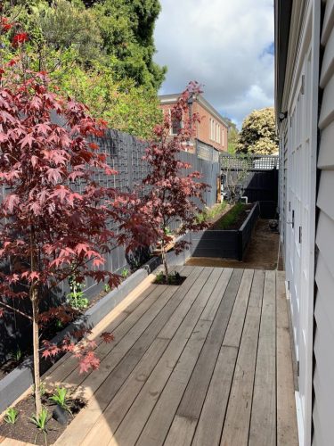 Back-deck-768x1024-1.jpg