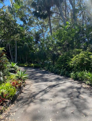 Boundless-Buderim3.jpeg