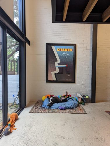 Bowie-Warehouse-Dog-Bed-EB-2022.jpeg
