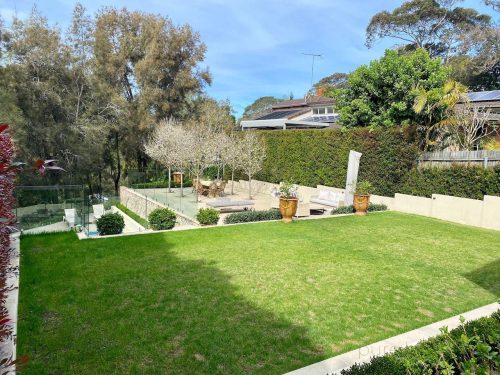 backyard