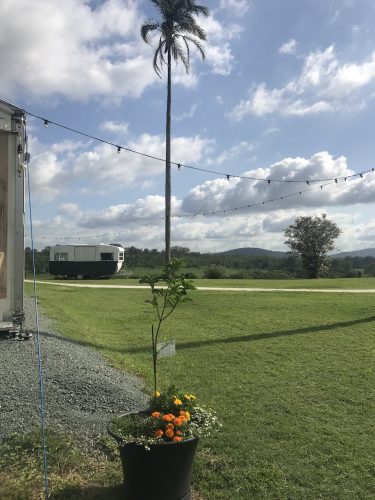 Caravan-in-background.jpg