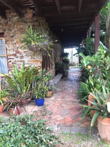 Cellar-Door-Panton-Hill-03.jpeg