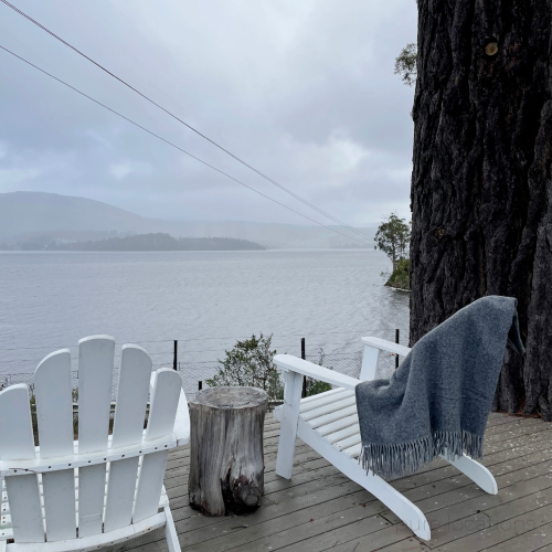 Cherry-Blossom-Petcheys-Bay-4.png