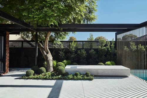 backyard garden established