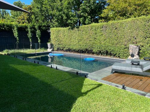 backyard pool