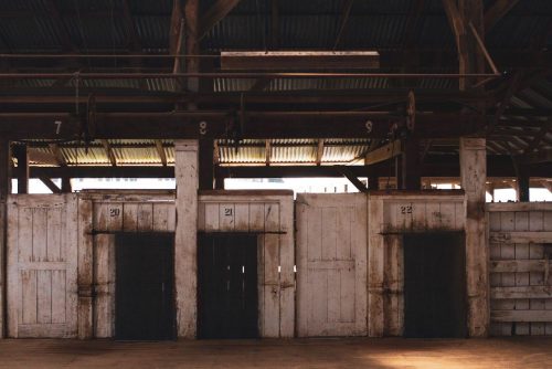 Clementine-Quirindi-14.jpeg