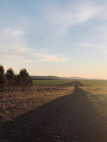 Clementine-Quirindi-6.jpeg