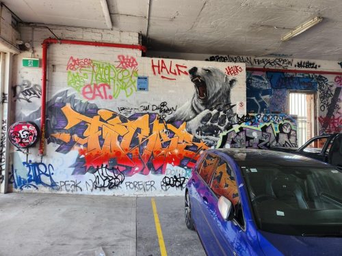 Concrete-Jungle-Fitzroy-13.jpg