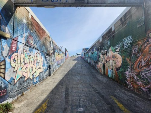 Concrete-Jungle-Fitzroy-7.jpg