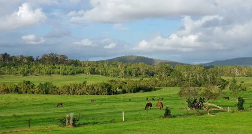 Countryside-with-horses.jpg