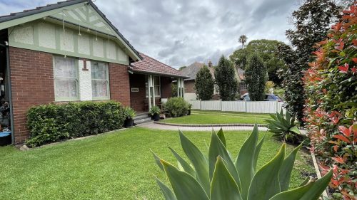 Courtland-Haberfield-6740.jpg